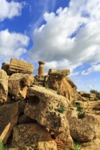 Single column, boulder, Temple of Heracles, ruin in the Valley of the Temples, Cumulus, Agrigento,
