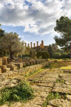 Ruins, Temple of Olympian Zeus, Altar, Valley of the Temples, Agrigento, Sicily, Italy