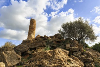 Single column, boulders, olive tree, Temple of Heracles, ruin in the Valley of the Temples,