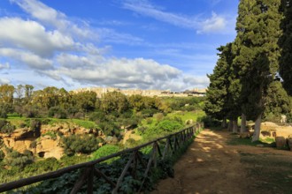 Hiking trail with cypresses, modern city of Agrigento on the horizon, Cumulus, Valley of the