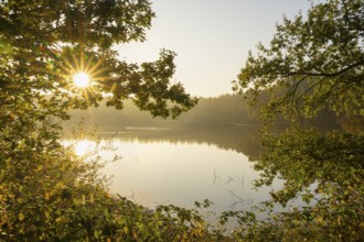 Daybreak at Ahlhorn Fish Ponds, Ahlhorn Fish Ponds, Ahlhorn, Lower Saxony, Germany