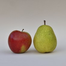 Apple (Malus) and pear (Pyrus communis), with white background, synonym for comparing apples with