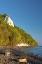 View of chalk cliffs in Jasmund National Park on Rügen, Sassnitz, Rügen, Mecklenburg-Western