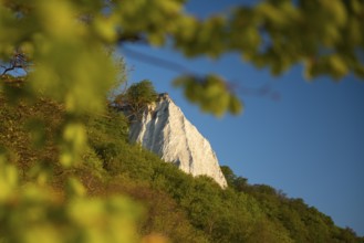 View of chalk cliffs in Jasmund National Park on Rügen, Sassnitz, Rügen, Mecklenburg-Western