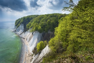 Ernst-Moritz-Arndt view on the chalk coast on Rügen, Rügen, Sassnitz, Mecklenburg-Western