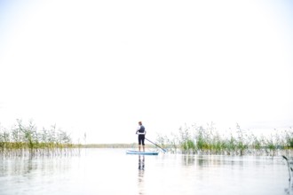 Person on a stand-up paddle board between reeds on a calm lake under clear skies, Asnen, Kronborgs