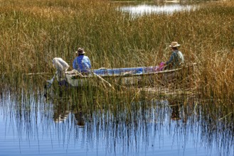 Two fishermen in a boat surrounded by reeds on a calm body of water in a natural setting, The
