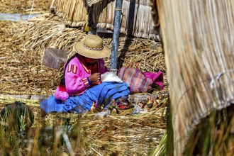 A woman in traditional traditional costume works in a reed area, The floating reed islands of the