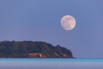 Full moon on the lagoon on Rügen, Rügen, Glowitz, Mecklenburg-Western Pomerania, Germany
