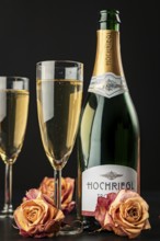 Champagne bottle and glasses decorated with dry roses on dark background