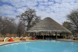 Planet Baobab swimming pool, lodge near the village of Gweta, Makgadikgadi Pans National Park,