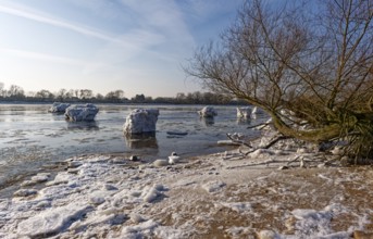 Ice skating on the Elbe with small icebergs on the water and on the banks of the Elbe Island near