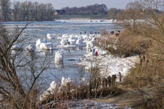 Many visitors look at the icebergs on the water of the Elbe and on the banks of the Elbe Island