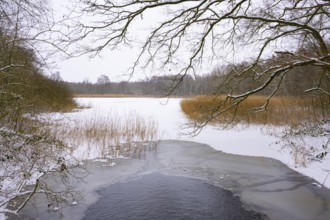 Winter at the Ahlhorn fish ponds, Ahlhorn, Lower Saxony, Germany