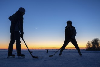 Winter at Dümmer, ice hockey player on the lake, Eickhöpen, Lembruch, Lower Saxony, Germany