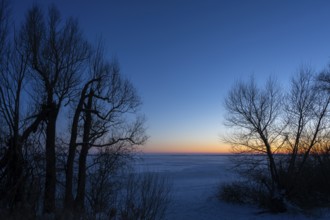 Winter on Dümmer at blue hour on frozen lake, Eickhöpen, Lembruch, Lower Saxony, Germany