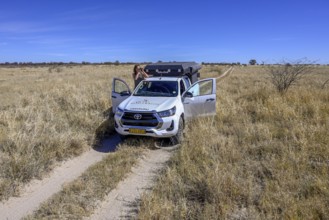 Tourist observes animals through binoculars near the Baines Baobabs, Nxai-Pan National Park, near