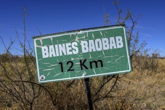 Sign Baines Baobabs, Nxai-Pan National Park, near Gweta, Central District, Botswana