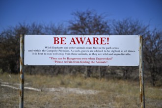 Warning sign for wild animals in South Camp, Campground, Nxai-Pan National Park, near Gweta,
