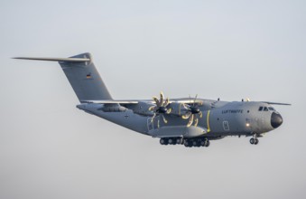 Airbus A400 transport aircraft of the German Air Force, landing at Cologne/Bonn airport, CGN,