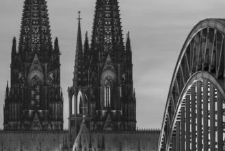 Evening atmosphere, Cologne Cathedral illuminated with LED lamps and the Hohenzollern Bridge,