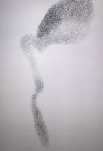 Starling (Sturnus vulgaris), huge flock forms an impressive pattern in the sky in the formation