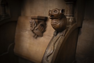 Mouse, oak choir stalls for monks' hour prayers, 1493 by Jörg Syrlin the Younger, also Sürlin or