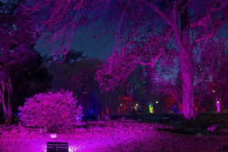 Winter lights in Luisenpark in Mannheim. Every year in January and early February, the park is