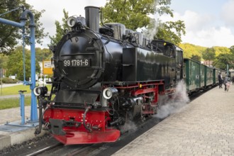 Historic Steam Railway, Rasender Roland Narrow Gauge Railway, Rügensche Bäderbahn, Sellin Ost