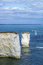 White Cliffs of Old Harry Rocks Jurassic Coast, Handfast Point, Dorset, UK