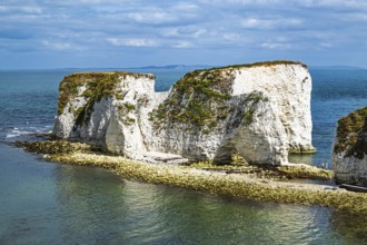 White Cliffs of Old Harry Rocks Jurassic Coast, Handfast Point, Dorset, UK
