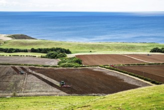 Scottish fields and farms, Southeast Scotland, UK