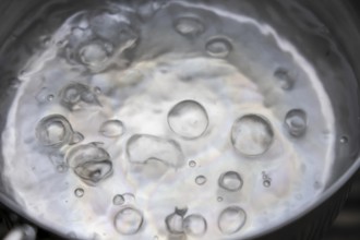 Water boils in a pot, boiling point, 100°C, air bubbles, symbolic picture