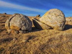 The large spherolites (concretions) at Torysh, with over 500–600 spheres of various sizes covering