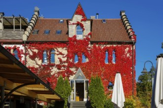 Restaurant Altes Forsthaus near Lichtenstein Castle, restaurant, restaurant, historic building,