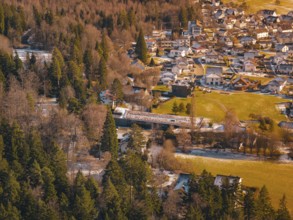 A bridge over a river surrounded by trees leads to a village in a snowy landscape, Hallwangen,