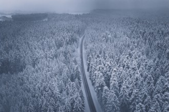 Snow-covered road through vast forest under grey sky, Hörschweiler, Freudenstadt district, Germany
