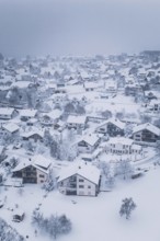 Snowy village with houses and trees, surrounded by winter silence and cold, Schopfloch,