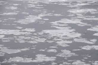 Elbe in winter with ice floes, Dresden, Saxony, Germany