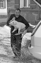 Farmer has a piglet (Sus scrofa domesticus) on his arm, black and white, Tauchersreuth, Middle