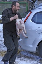 Farmer holding a piglet (Sus scrofa domesticus) in his arms, Tauchersreuth, Middle Franconia,