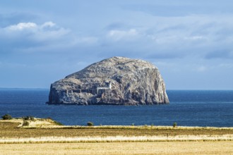 Bass Rock Island and Lighthouse, Scotland's Firth of Forth, Scotland, UK