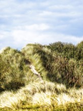 Dunes over Bamburgh Castle, Northumberland, Northeast Coast, England, UK