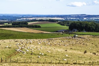 Scottish fields and farms, Southeast Scotland, UK