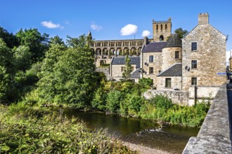 Jedburgh Abbey, Augustinian Abbey, Jedburgh, Scottish Borders, Scotland, UK
