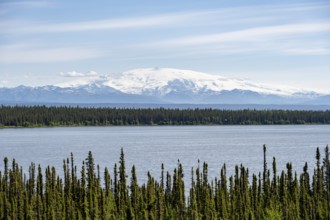 Lake Willow Lake, taiga landscape with high glaciated mountain peak Mount Wrangell, Wrangell