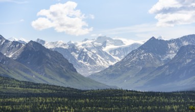 Taiga and tundra in front of mountain landscape, picturesque landscape with icy mountain peaks,