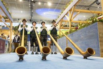 Alphorn wind players at the Bavarian stand during the opening tour of the Green Week at the