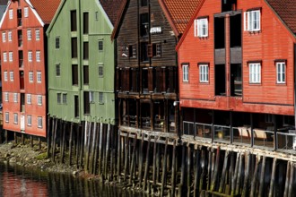 Colourful warehouses on pillars on the riverbank, Trondheim, Trøndelag, Norway