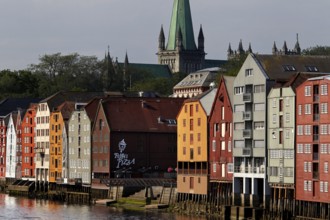 Storehouses on the Nidelva River with a view of Nidarosdomen, Trondheim, Trøndelag, Norway
